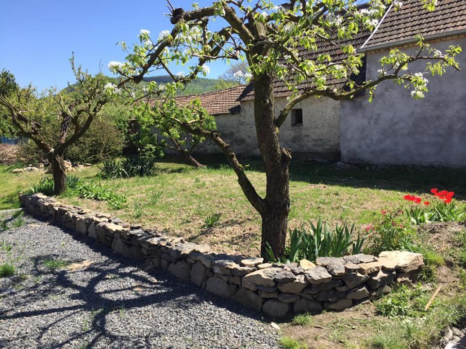 Villa Luis Gólyás háza Raposka Exterior foto